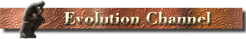 Evolution Channel Banner