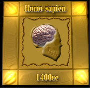 Homo sapien brain size