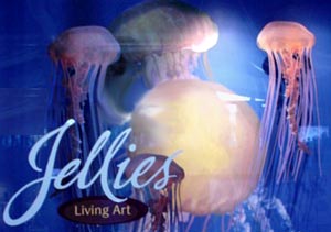 Jellies: Living Art Exhibit